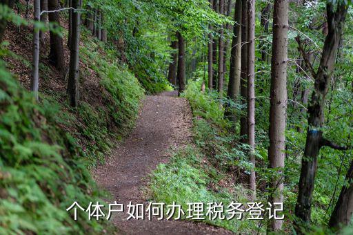 個(gè)體戶如何辦理稅務(wù)登記