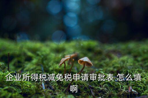 企業(yè)所得稅減免稅申請(qǐng)審批表 怎么填啊