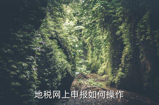 地稅網(wǎng)上申報(bào)如何操作