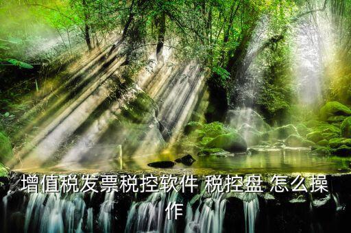 增值稅發(fā)票稅控軟件 稅控盤 怎么操作