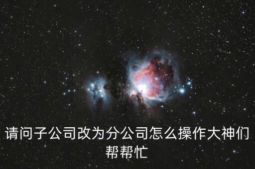 請(qǐng)問子公司改為分公司怎么操作大神們幫幫忙