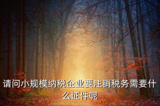 請(qǐng)問(wèn)小規(guī)模納稅企業(yè)要注銷(xiāo)稅務(wù)需要什么證件呢