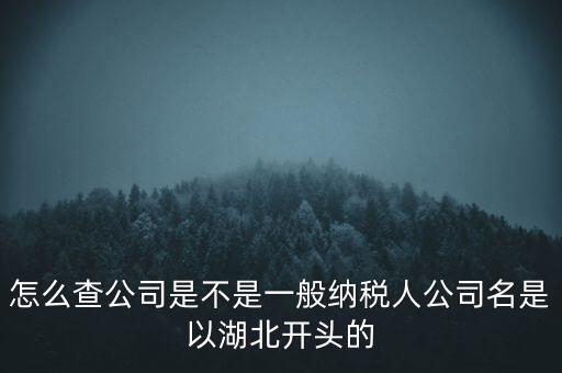 如何查詢企業(yè)是否是一般納稅人，怎么查公司是不是一般納稅人公司名是以湖北開頭的