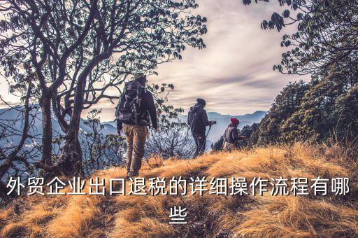 外貿(mào)公司如何申請退稅，外貿(mào)企業(yè)出口退稅流程希望能具體一點多謝多謝