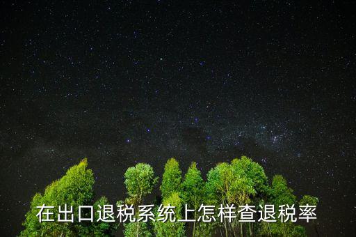 在出口退稅系統(tǒng)上怎樣查退稅率