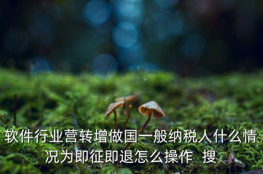 即征即退政策如何辦理，軟件行業(yè)營轉(zhuǎn)增做國一般納稅人什么情況為即征即退怎么操作  搜