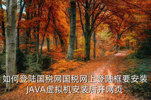 如何登陸國稅網(wǎng)國稅網(wǎng)上登陸框要安裝JAVA虛擬機安裝后開網(wǎng)頁