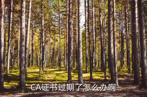 CA證書過(guò)期了怎么辦啊