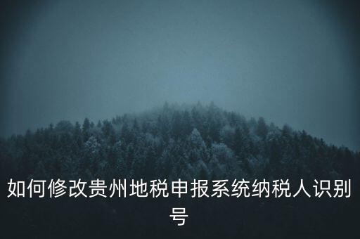 如何修改貴州地稅申報(bào)系統(tǒng)納稅人識(shí)別號(hào)