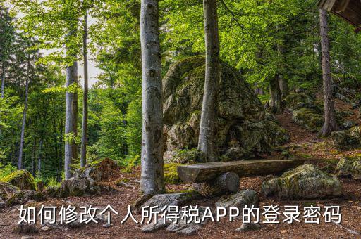 如何修改個(gè)人所得稅APP的登錄密碼