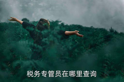 北京如何查詢稅務(wù)專管員，如何在網(wǎng)上查詢國稅專管員