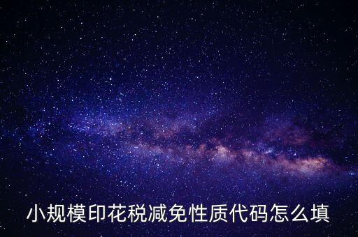 印花稅減免額 如何填寫，六稅兩費印花稅減半怎么申報