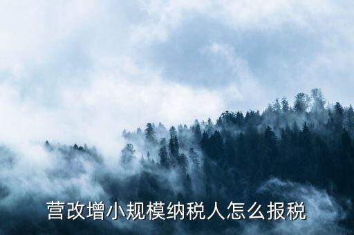 營改增小規(guī)模納稅人怎么報稅