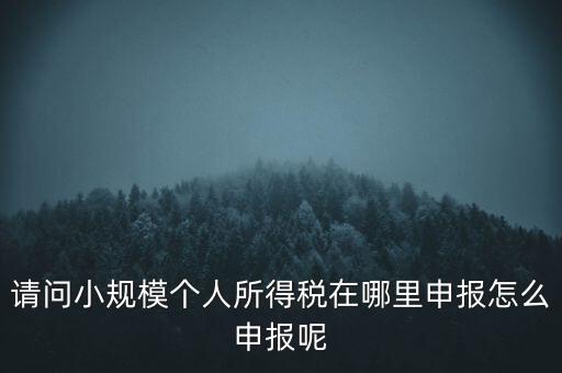 如何申報自然人兩處所得，請問小規(guī)模個人所得稅在哪里申報怎么申報呢