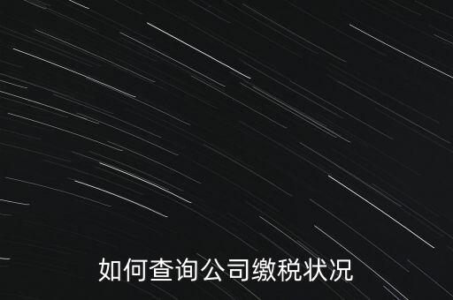 如何查詢(xún)公司繳稅狀況