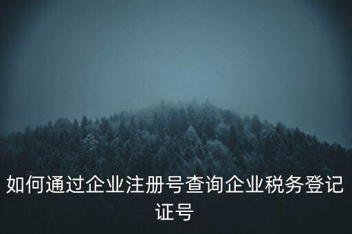 如何查詢公司稅務(wù)編號查詢系統(tǒng)，公司的稅務(wù)登記證號怎么查詢