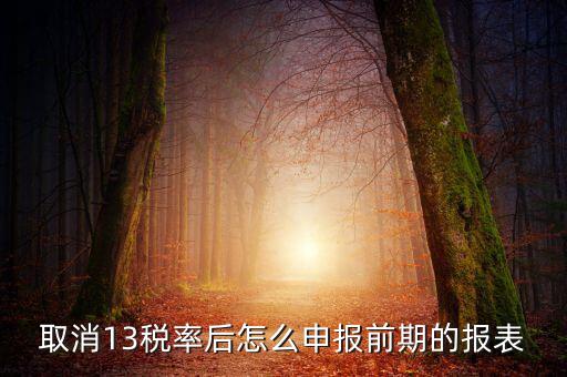 取消13稅率申報(bào)表如何填，13的稅率沒(méi)了納稅申報(bào)以后怎么辦