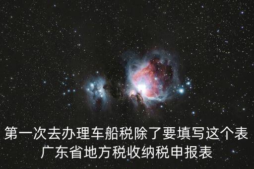 第一次去辦理車船稅除了要填寫這個表廣東省地方稅收納稅申報表