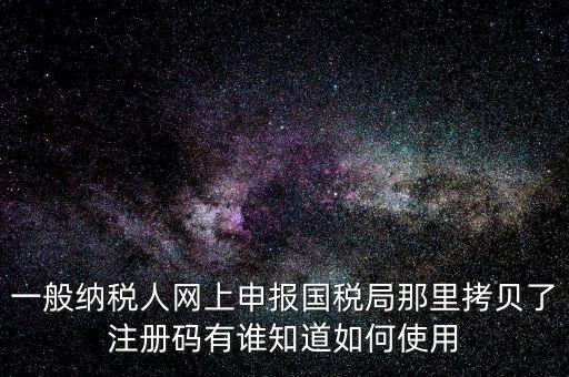 一般納稅人網(wǎng)上申報(bào)國稅局那里拷貝了注冊碼有誰知道如何使用