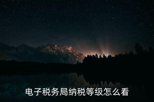 a級(jí)納稅人如何查詢(xún)，電子稅務(wù)局納稅等級(jí)怎么看