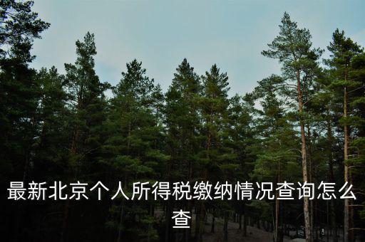 最新北京個人所得稅繳納情況查詢怎么查