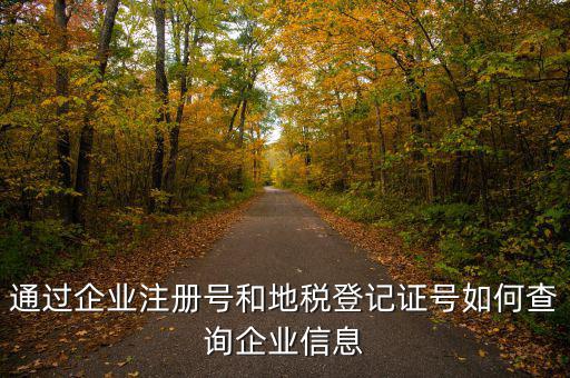 山東 如何查企業(yè)稅務(wù)信息，通過企業(yè)注冊(cè)號(hào)和地稅登記證號(hào)如何查詢企業(yè)信息