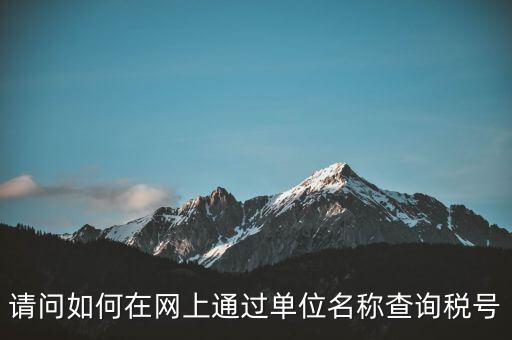 稅號如何查詢網(wǎng)站，怎么在網(wǎng)上查企業(yè)稅號