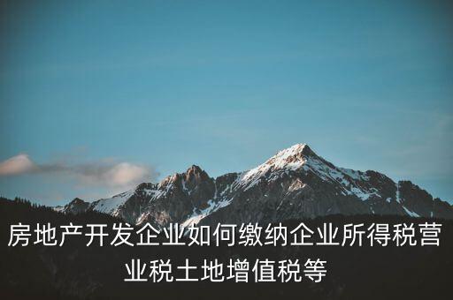 房地產(chǎn)開(kāi)發(fā)企業(yè)如何繳納企業(yè)所得稅營(yíng)業(yè)稅土地增值稅等