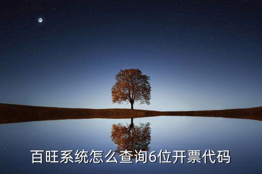 如何獲取開票代碼，增值稅專用發(fā)票開票時輸開票碼是怎么操作