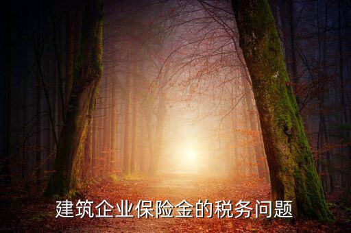 保險(xiǎn)公司稅務(wù)管理如何處理，建筑企業(yè)保險(xiǎn)金的稅務(wù)問(wèn)題