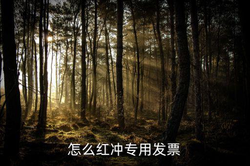 專票如何申請紅字，增值稅專用發(fā)票進項稅額紅字怎么開