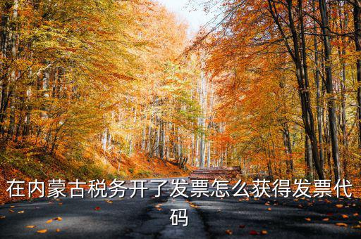 在內蒙古稅務開了發(fā)票怎么獲得發(fā)票代碼