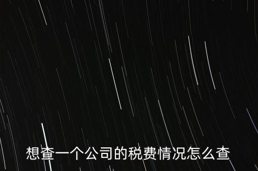 如何查詢公司納稅記錄查詢，想查一個(gè)公司的稅費(fèi)情況怎么查