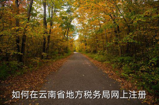 如何在云南省地方稅務(wù)局網(wǎng)上注冊