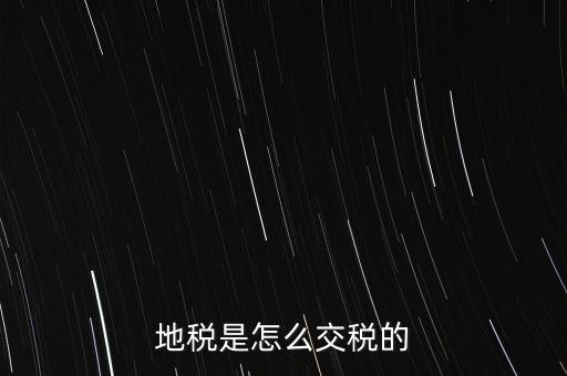 地稅是怎么交稅的