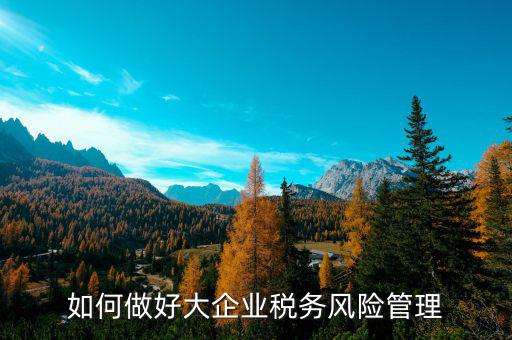 如何加強(qiáng)對(duì)重點(diǎn)企業(yè)的稅務(wù)管理，加強(qiáng)大企業(yè)的稅收管理有何良策