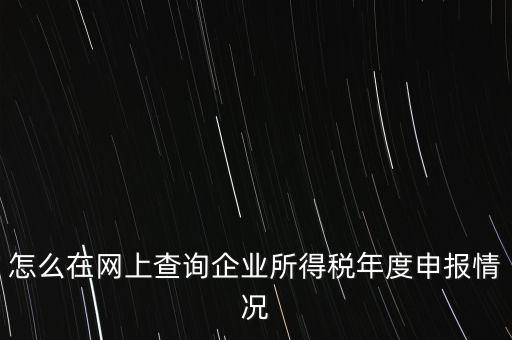 怎么在網(wǎng)上查詢企業(yè)所得稅年度申報情況