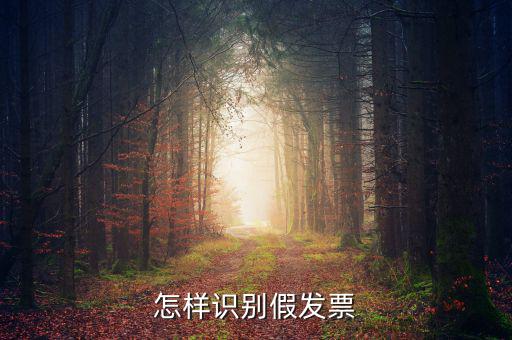 如何驗(yàn)證假發(fā)票，怎么識(shí)別假發(fā)票啊