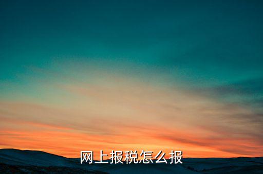 網(wǎng)上報(bào)稅怎么報(bào)