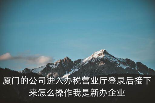 廈門(mén)的公司進(jìn)入辦稅營(yíng)業(yè)廳登錄后接下來(lái)怎么操作我是新辦企業(yè)