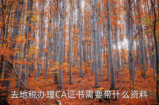 去地稅辦理CA證書需要帶什么資料