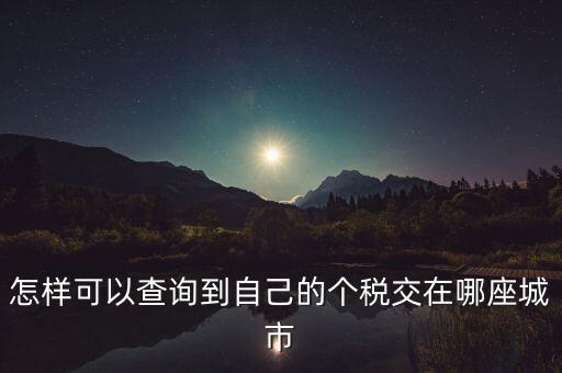 如何查詢個人所得稅所交地點，怎樣可以查詢到自己的個稅交在哪座城市