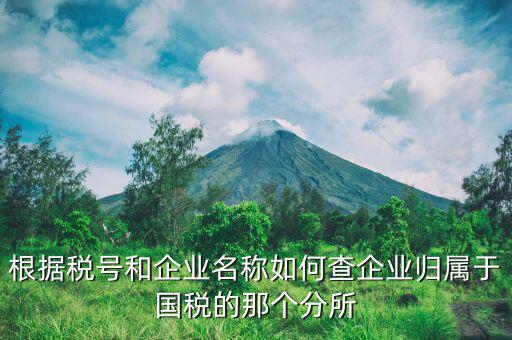 如何查詢企業(yè)所屬國稅分局，根據(jù)稅號和企業(yè)名稱如何查企業(yè)歸屬于國稅的那個分所