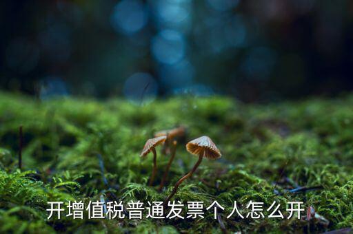 普票如何開給個人，增值稅普通發(fā)票開個人需要什么資料