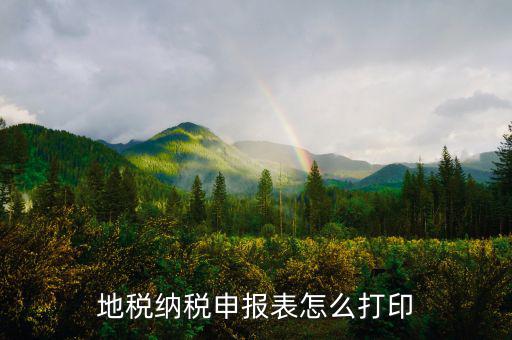 地稅納稅申報表怎么打印