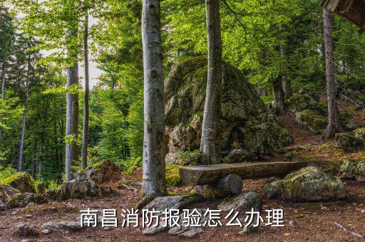 如何辦理報驗登記，外經(jīng)證已辦理去施工項目當?shù)氐囟惥謭篁灥怯涍€需要哪些手續(xù)謝謝