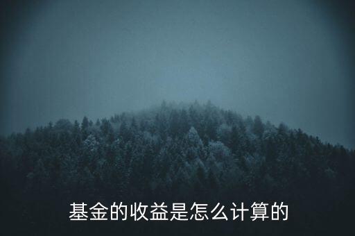  基金的收益是怎么計(jì)算的