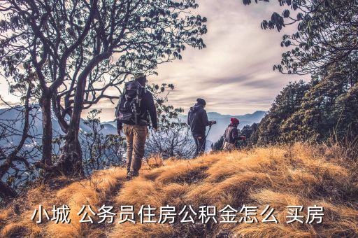 小城 公務(wù)員住房公積金怎么 買房