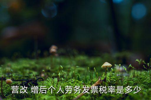  營改 增后個人勞務(wù)發(fā)票稅率是多少