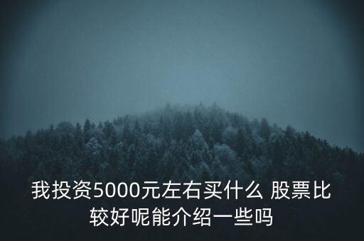 我投資5000元左右買什么 股票比較好呢能介紹一些嗎